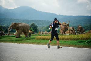 BIB: 
                            <button type="button" onclick="openModal(22434903)" class="btn btn-primary btn-sm float-right btn-popup" data-toggle="modal" data-target=".modal-high-quality">
                        <i class="fas fa-shopping-cart"></i> Add to Cart
                    </button>
                                            <button type="button" onclick="isThisMe(22434903, true)" class="btn btn-success btn-sm float-right btn-popup btn-isme hidden" data-toggle="tooltip" data-placement="bottom" title="นี่คือรูปของคุณใช่ไหม คลิกที่นี่เพื่อเอาเข้าอัลบั้ม">
                        <i class="fas fa-plus"></i> Add to album
                    </button>
                    <button type="button" onclick="isThisMe(22434903, false)" class="btn btn-warning btn-sm float-right btn-popup btn-isnotme hidden">
                        <i class="fas fa-ban"></i> Remove from album
                    </button>